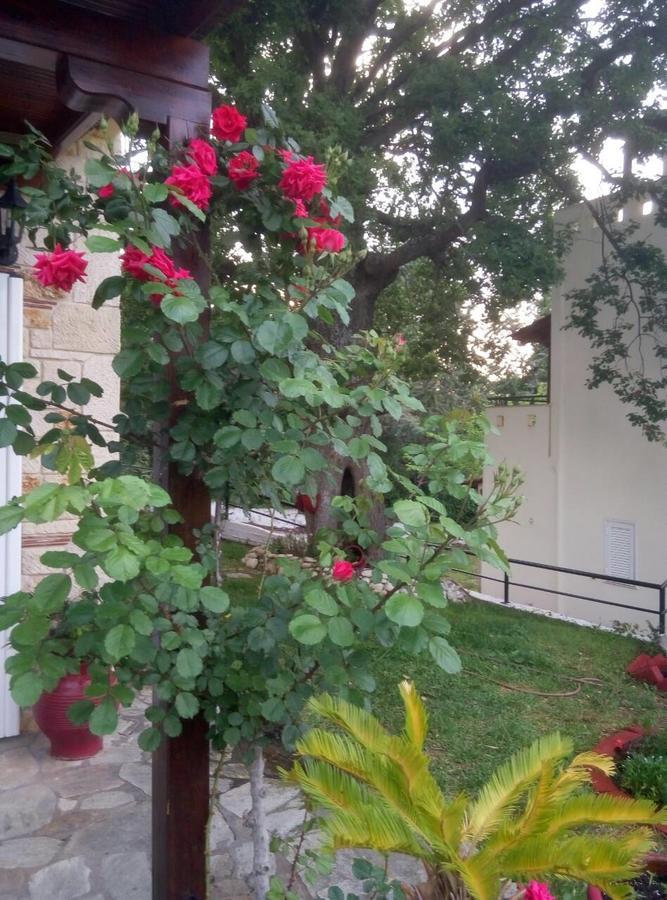 Paradise กริโอปียี ภายนอก รูปภาพ
